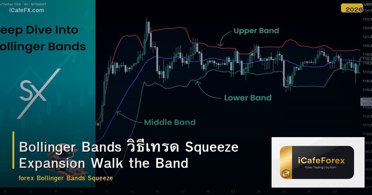 Bollinger Bands วิธีเทรด Squeeze Expansion Walk the Band