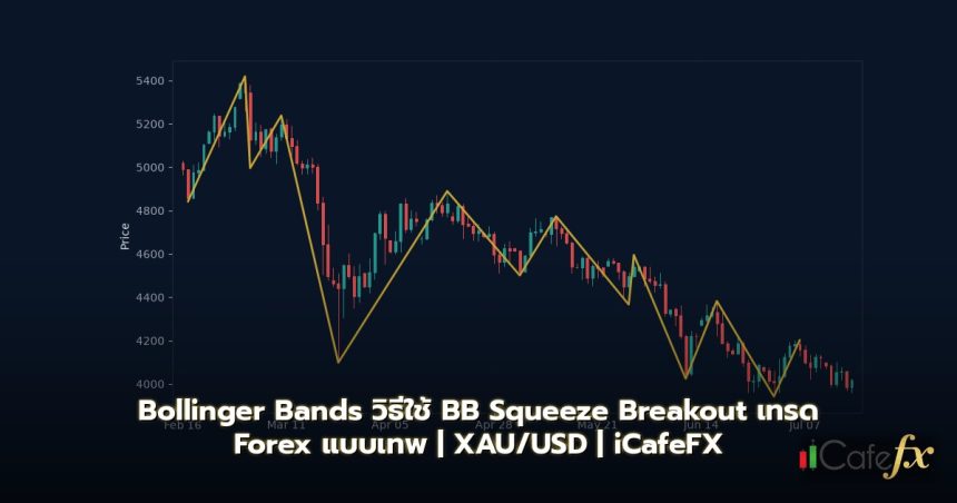 Bollinger Bands วิธีใช้ BB Squeeze Breakout เทรด Forex