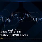 Bollinger Bands วิธีใช้ BB Squeeze Breakout เทรด Forex