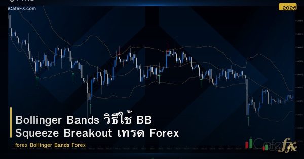 Bollinger Bands วิธีใช้ BB Squeeze Breakout เทรด Forex