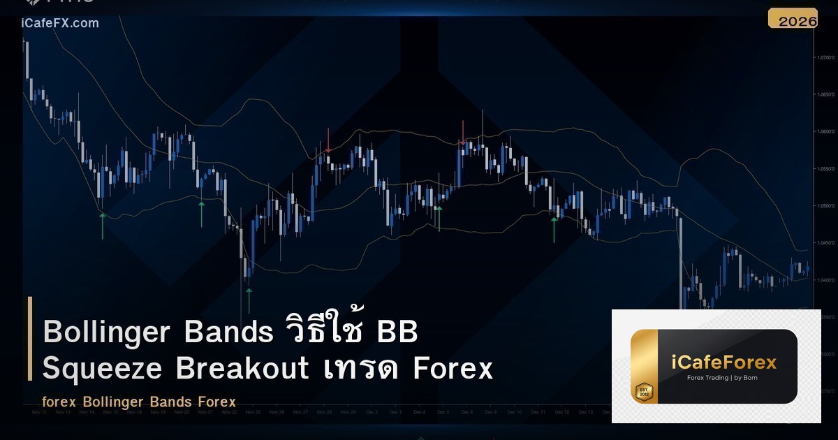 Bollinger Bands วิธีใช้ BB Squeeze Breakout เทรด Forex