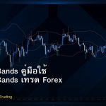 Bollinger Bands คู่มือใช้ Bollinger Bands เทรด Forex ฉบับสมบูรณ์