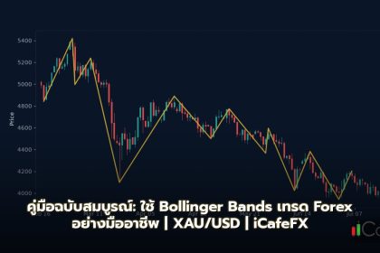 Bollinger Bands คู่มือใช้ Bollinger Bands เทรด Forex ฉบับสมบูรณ์