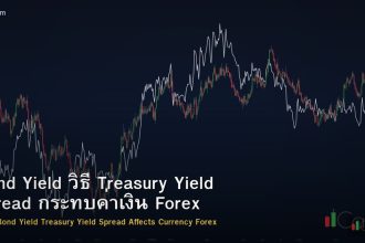 Bond Yield วิธี Treasury Yield Spread กระทบค่าเงิน Forex