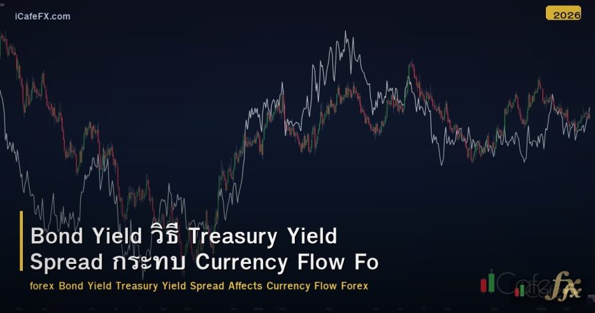 Bond Yield วิธี Treasury Yield Spread กระทบ Currency Flow Forex