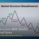 Break of Structure BOS CHoCH วิธีอ่าน Trend Forex