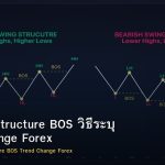 Break of Structure BOS วิธีระบุ Trend Change Forex