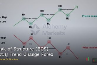 Break of Structure (BOS) วิธีระบุ Trend Change Forex