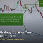 Breakout Strategy วิธีเทรด True False Breakout Forex