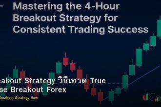 Breakout Strategy วิธีเทรด True False Breakout Forex