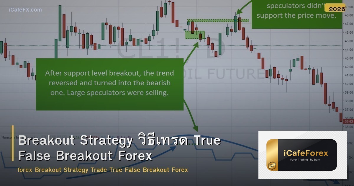 Breakout Strategy วิธีเทรด True False Breakout Forex