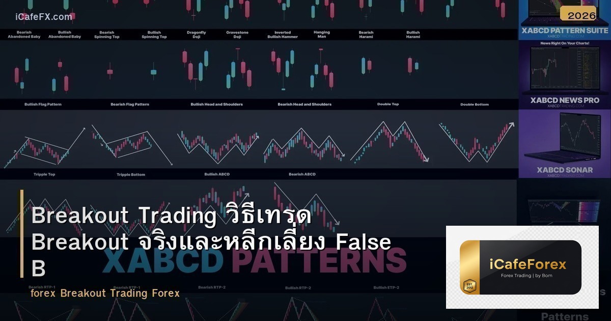 Breakout Trading วิธีเทรด Breakout จริงและหลีกเลี่ยง False Breakout