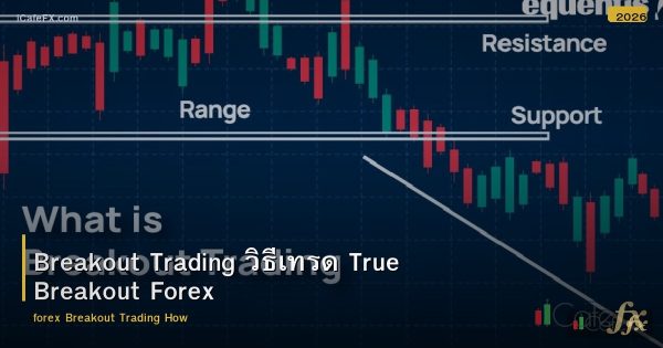 Breakout Trading วิธีเทรด True Breakout Forex