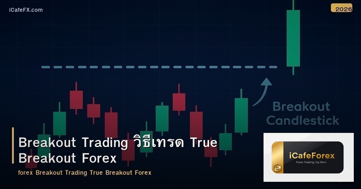 Breakout Trading วิธีเทรด True Breakout Forex