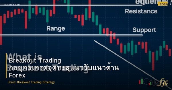 Breakout Trading กลยุทธ์เทรดจุดทะลุแนวรับแนวต้าน Forex