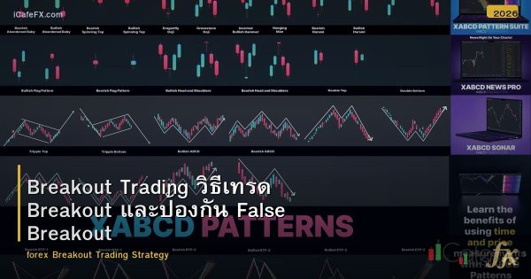Breakout Trading วิธีเทรด Breakout และป้องกัน False Breakout Forex