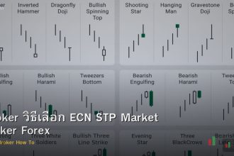 Broker วิธีเลือก ECN STP Market Maker Forex