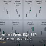 ประเภทโบรกเกอร์ Forex ECN STP Market Maker ต่างกันอย่างไร?