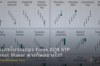 ประเภทโบรกเกอร์ Forex ECN STP Market Maker ต่างกันอย่างไร?