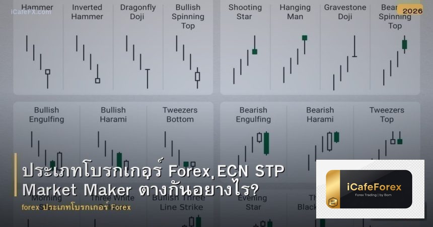 ประเภทโบรกเกอร์ Forex ECN STP Market Maker ต่างกันอย่างไร?