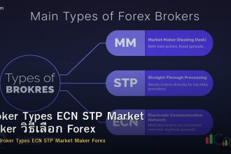 Broker Types ECN STP Market Maker วิธีเลือก Forex
