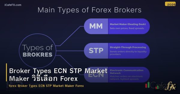 Broker Types ECN STP Market Maker วิธีเลือก Forex