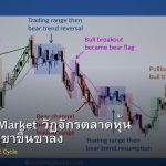 Bull Bear Market วัฏจักรตลาดหุ้น วิธีเทรดทั้งขาขึ้นขาลง