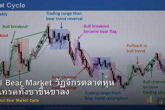 Bull Bear Market วัฏจักรตลาดหุ้น วิธีเทรดทั้งขาขึ้นขาลง