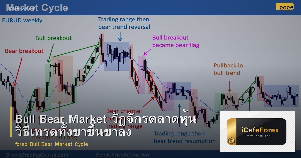 Bull Bear Market วัฏจักรตลาดหุ้น วิธีเทรดทั้งขาขึ้นขาลง