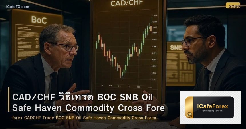 CAD/CHF วิธีเทรด BOC SNB Oil Safe Haven Commodity Cross Forex