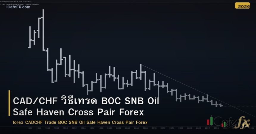 CAD/CHF วิธีเทรด BOC SNB Oil Safe Haven Cross Pair Forex