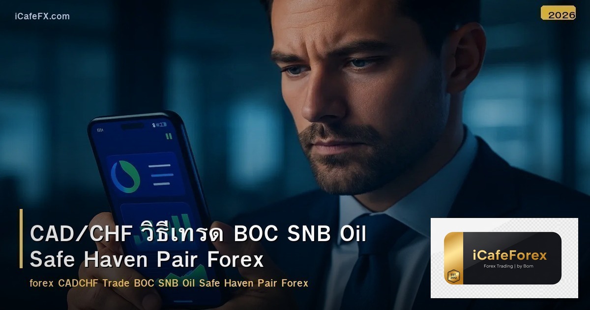 CAD/CHF วิธีเทรด BOC SNB Oil Safe Haven Pair Forex