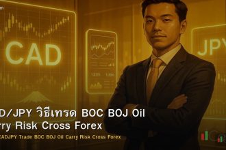 CAD/JPY วิธีเทรด BOC BOJ Oil Carry Risk Cross Forex