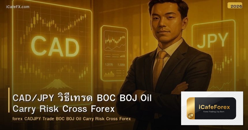 CAD/JPY วิธีเทรด BOC BOJ Oil Carry Risk Cross Forex