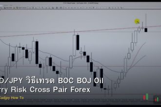 CAD/JPY วิธีเทรด BOC BOJ Oil Carry Risk Cross Pair Forex