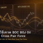 CAD/JPY วิธีเทรด BOC BOJ Oil Carry Risk Cross Pair Forex