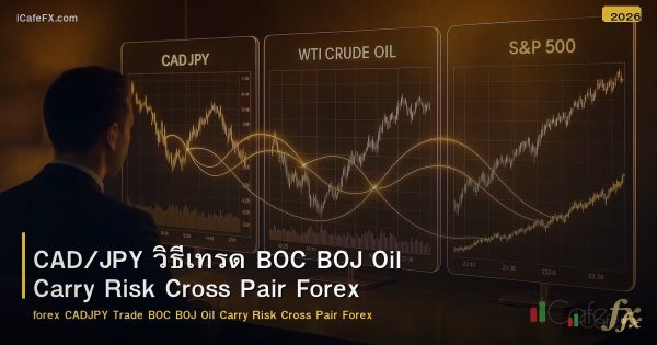 CAD/JPY วิธีเทรด BOC BOJ Oil Carry Risk Cross Pair Forex