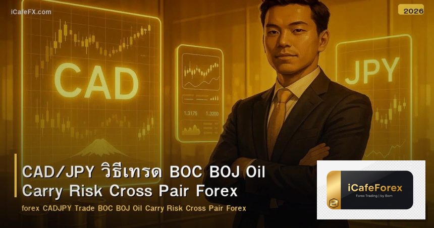 CAD/JPY วิธีเทรด BOC BOJ Oil Carry Risk Cross Pair Forex
