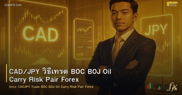 CAD/JPY วิธีเทรด BOC BOJ Oil Carry Risk Pair Forex