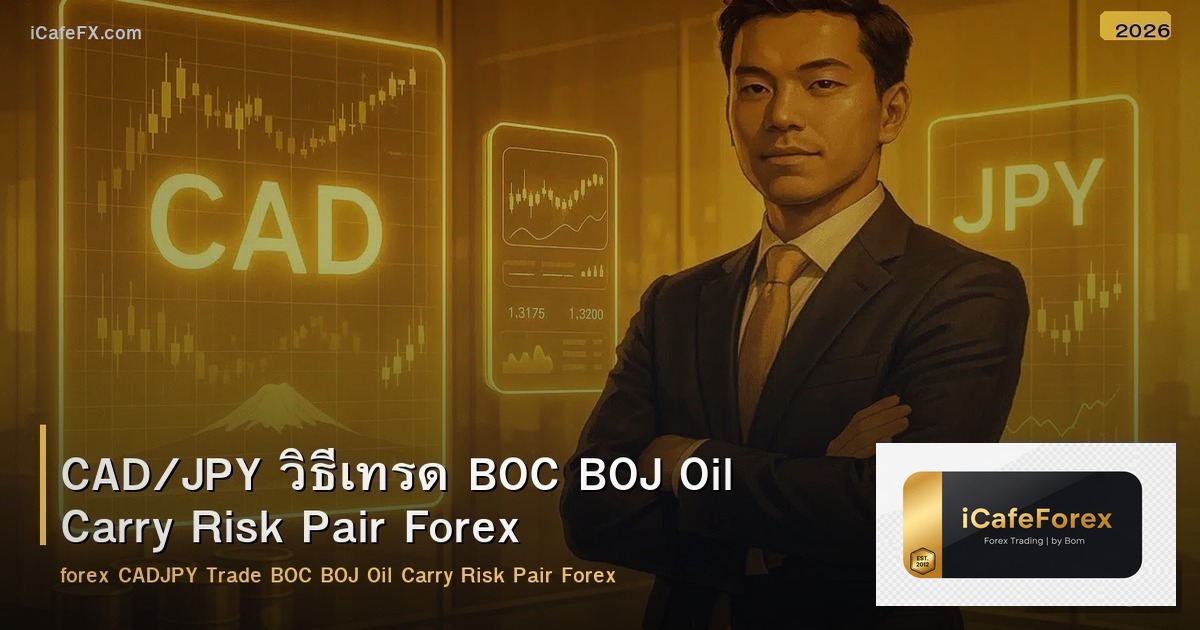CAD/JPY วิธีเทรด BOC BOJ Oil Carry Risk Pair Forex