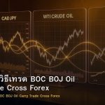 CAD/JPY วิธีเทรด BOC BOJ Oil Carry Trade Cross Forex