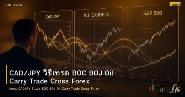 CAD/JPY วิธีเทรด BOC BOJ Oil Carry Trade Cross Forex