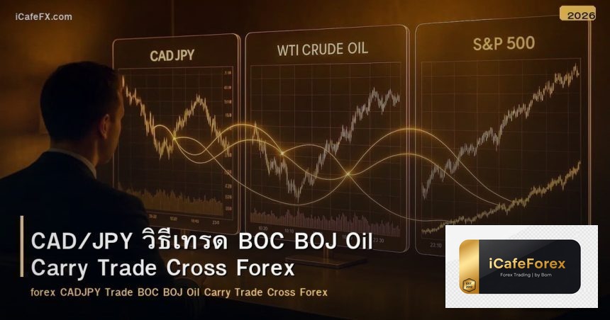 CAD/JPY วิธีเทรด BOC BOJ Oil Carry Trade Cross Forex