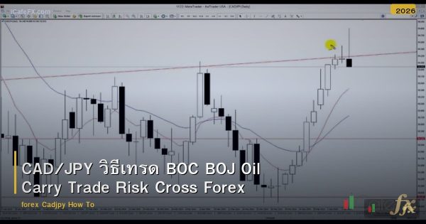 CAD/JPY วิธีเทรด BOC BOJ Oil Carry Trade Risk Cross Forex