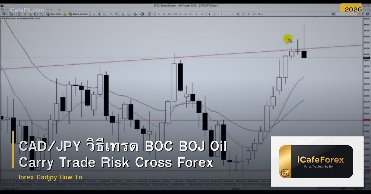 CAD/JPY วิธีเทรด BOC BOJ Oil Carry Trade Risk Cross Forex