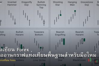 แท่งเทียน Forex คู่มืออ่านกราฟแท่งเทียนพื้นฐานสำหรับมือใหม่