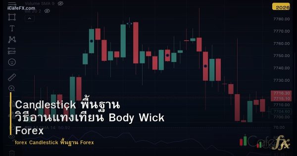 Candlestick พื้นฐาน วิธีอ่านแท่งเทียน Body Wick Forex