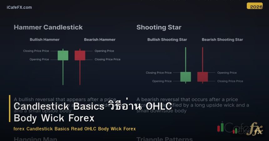 Candlestick Basics วิธีอ่าน OHLC Body Wick Forex