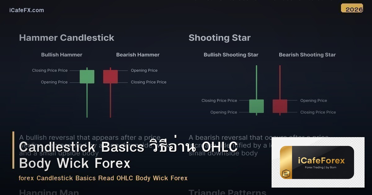 Candlestick Basics วิธีอ่าน OHLC Body Wick Forex