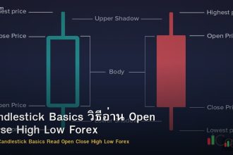Candlestick Basics วิธีอ่าน Open Close High Low Forex